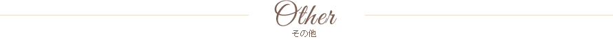 その他